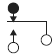 Form C contacts